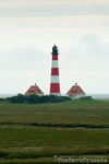 4006 Lighthouse Westerhever