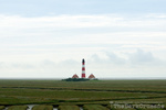 4007 Lighthouse Westerhever