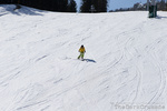 3004 Skiing