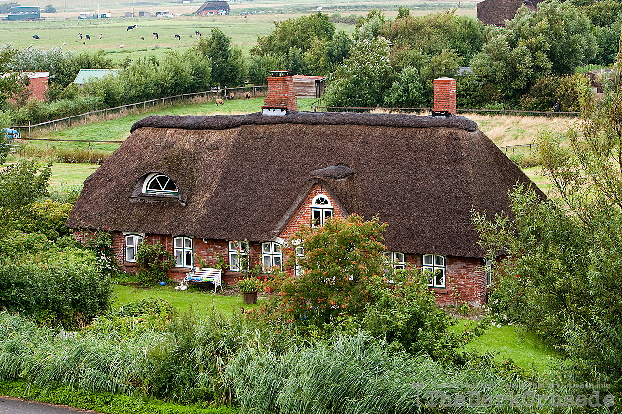 4012 Lighthouse Westerhever