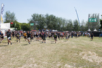 031 Crowd