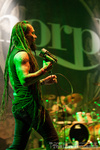 312 Amorphis