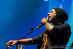 5188 Eluveitie