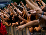 3056 Crowd