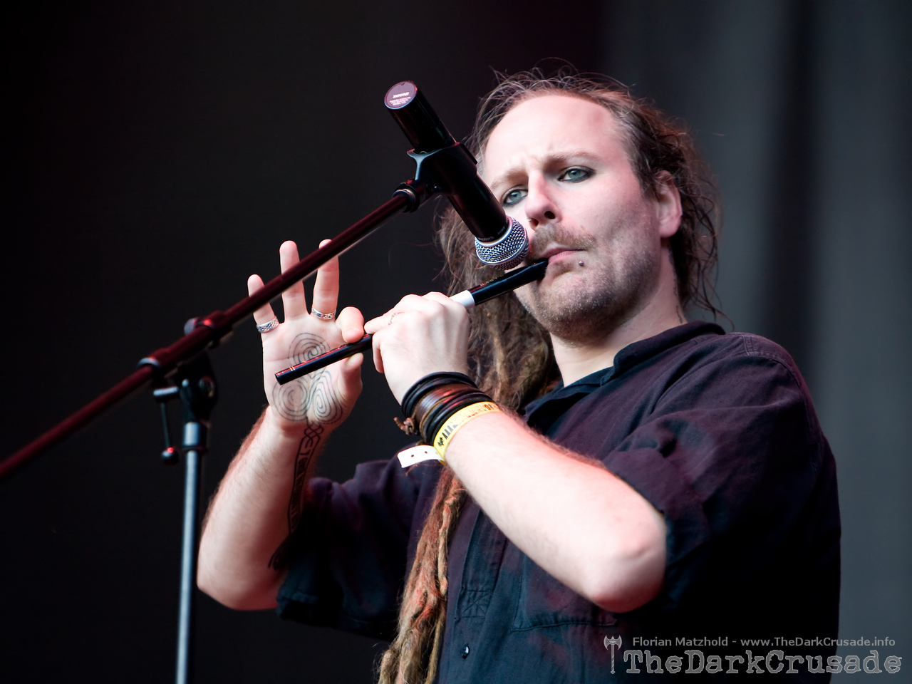 5025 Eluveitie