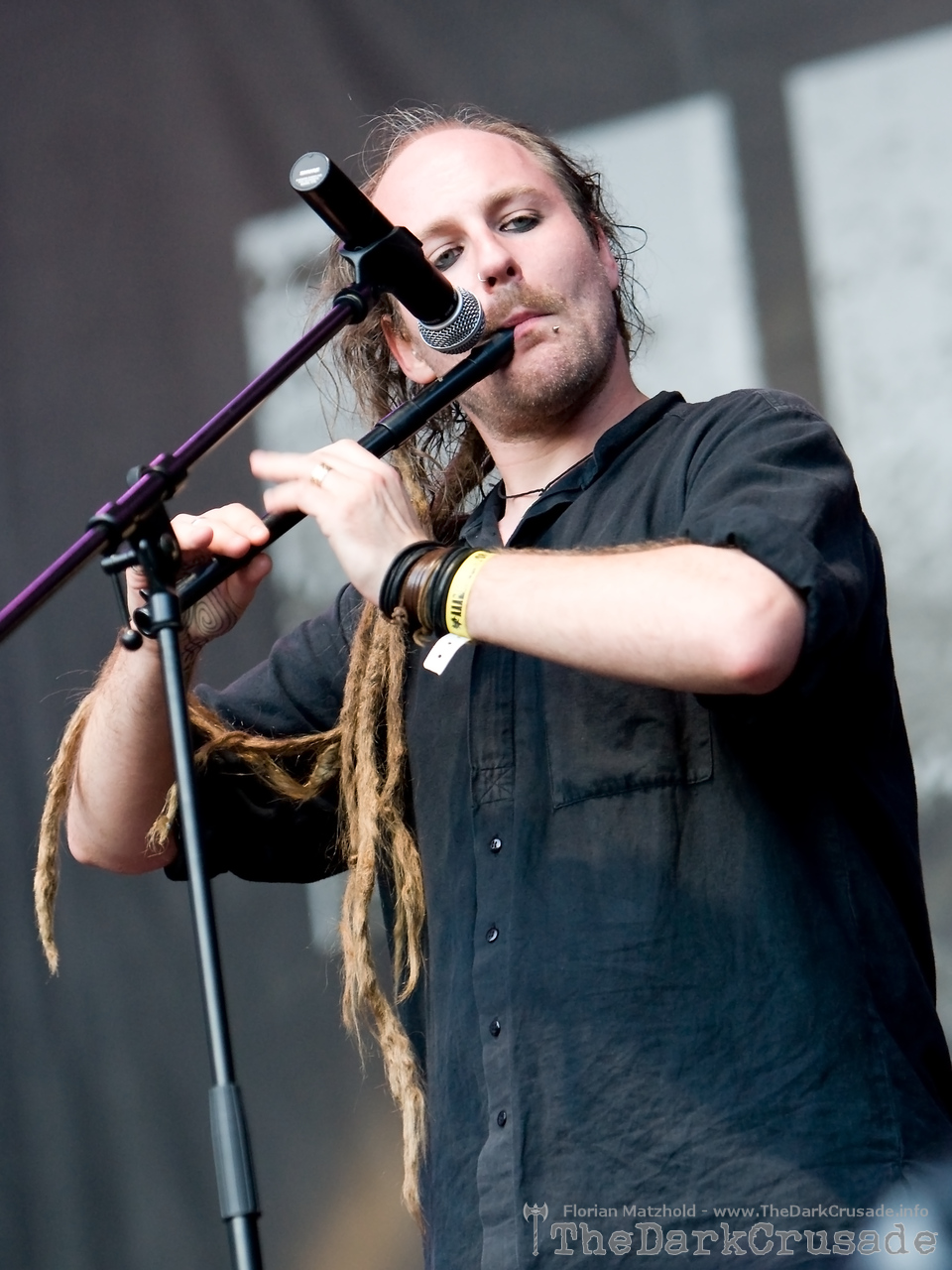 5038 Eluveitie